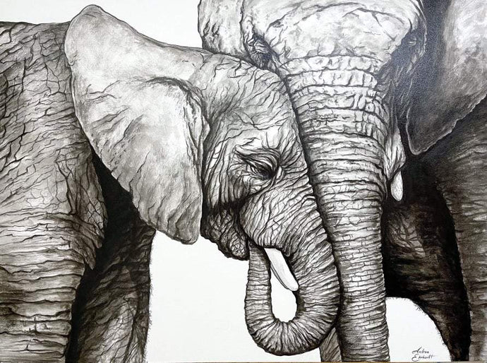 Animal Series- Elephants