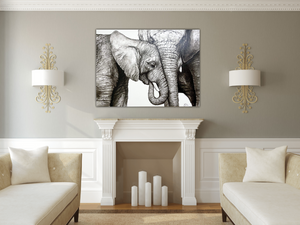 Animal Series- Elephants