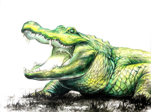 Alligator 36"x48" Original