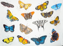 Load image into Gallery viewer, Butterflies 1-15