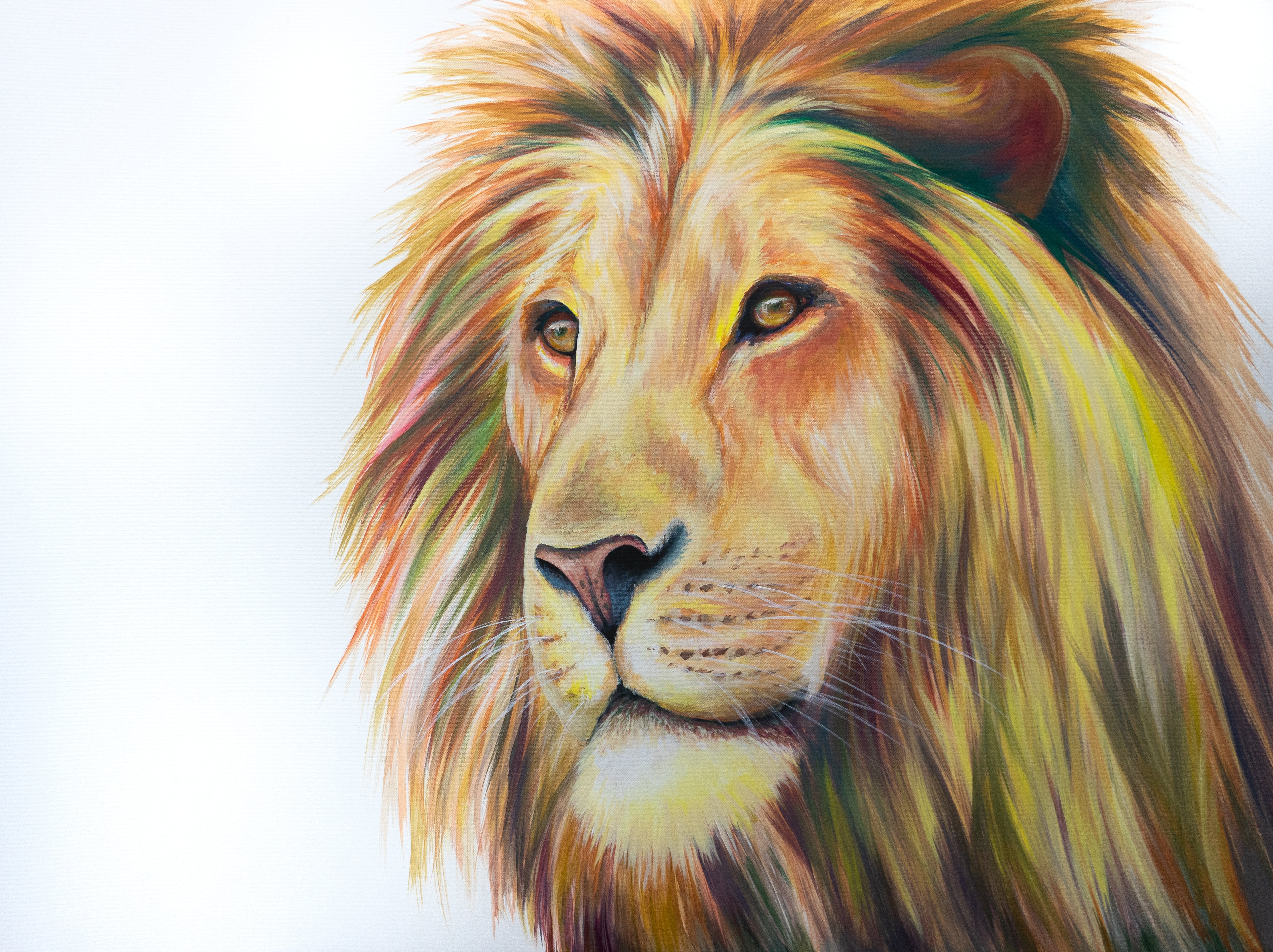 DSC02661-2_8004768e-8e53-4888-