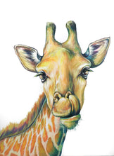 Load image into Gallery viewer, -Rainbow Series- Giraffe