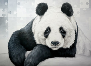 Animal Series- Bored Panda