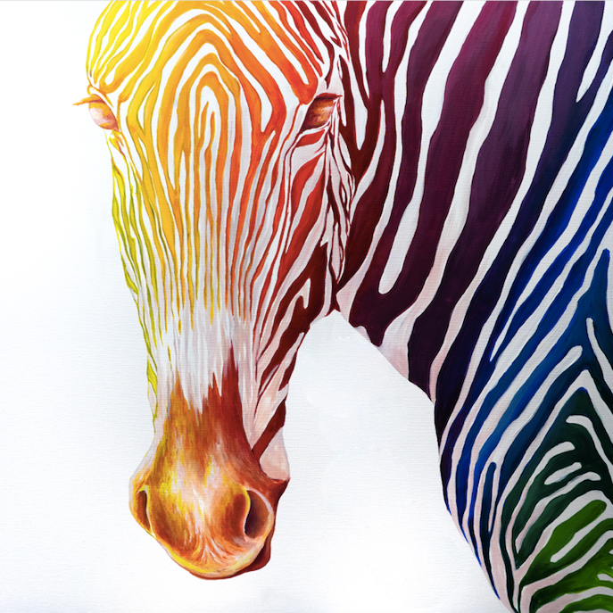 Rainbow Series- Zebra – Art by Andrea Ehrhardt