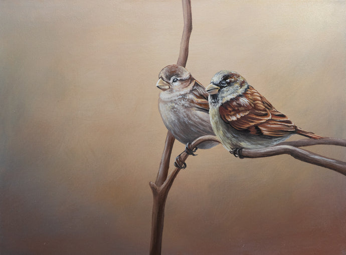 Animal Series- Sparrows