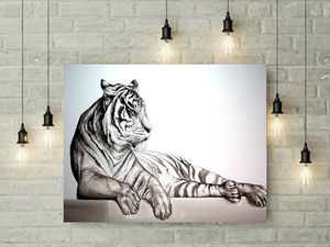 Animal Series- Tiger - Black on White