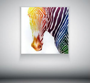 -Rainbow Series- Zebra